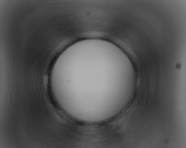 X0000101970206200807180734