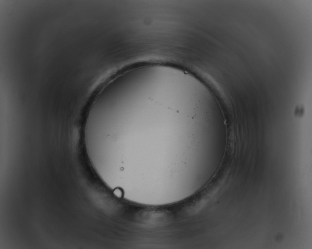 X0000101970208200807180734