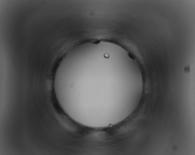 X0000101970210200807180734