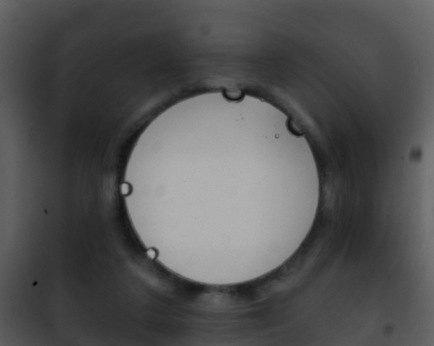 X0000101970211200807180734