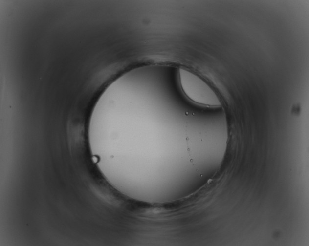 X0000101970212200807180734