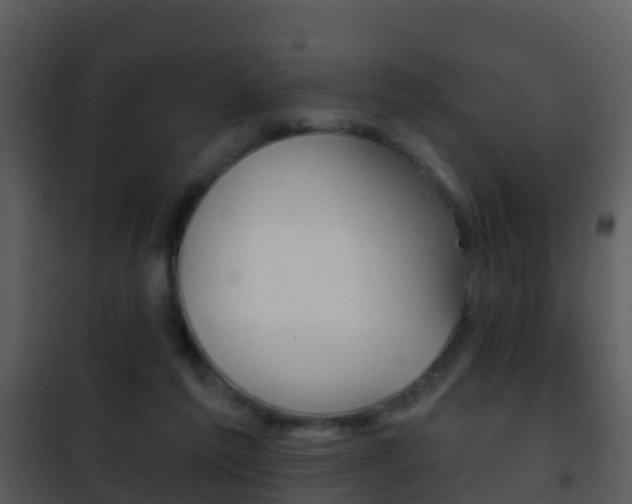 X0000101970213200807180734