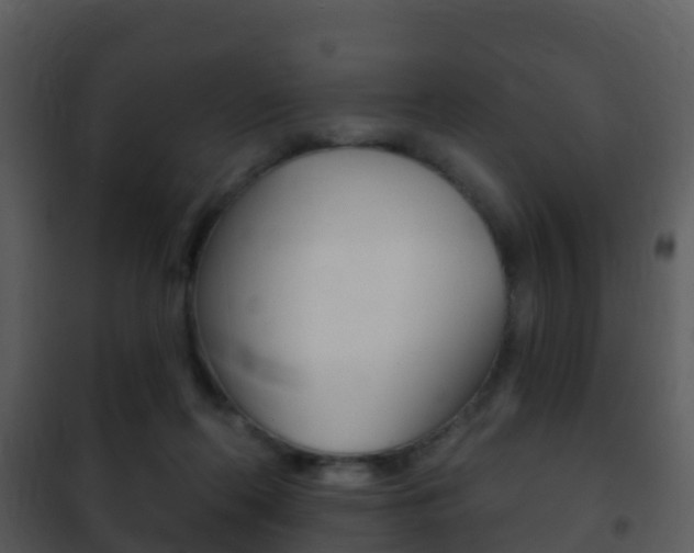 X0000101970214200807180734