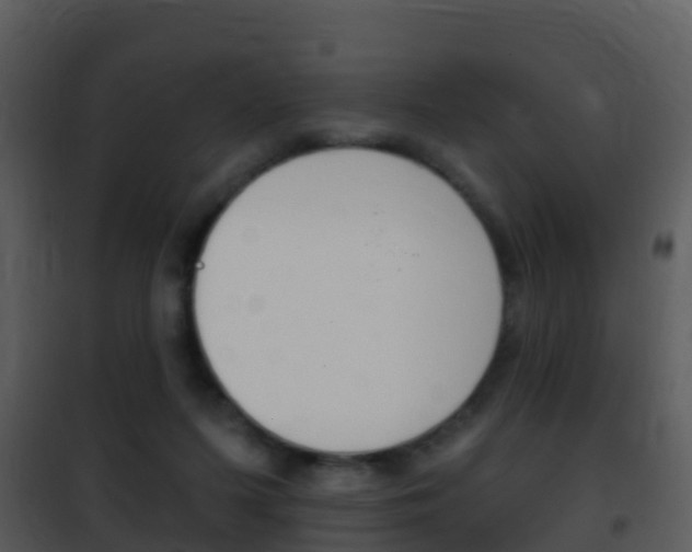 X0000101970215200807180734