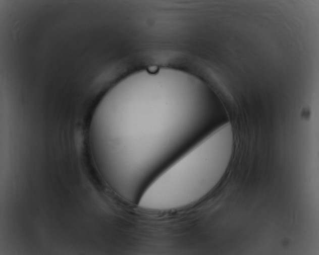 X0000101970216200807180734