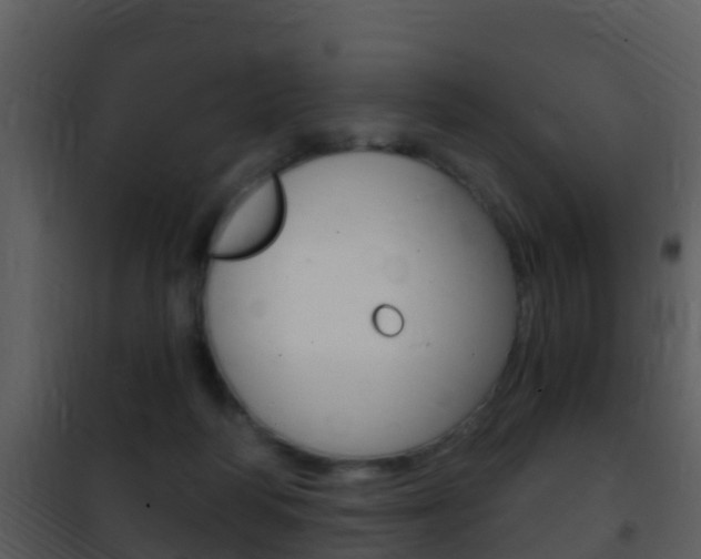 X0000101970218200807180734