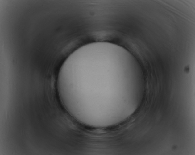 X0000101970219200807180734