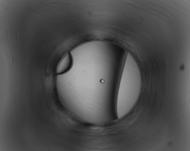 X0000101970220200807180734
