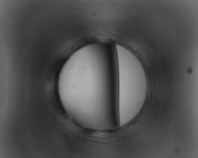X0000101970221200807180734