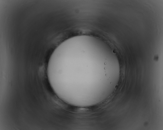 X0000101970222200807180734