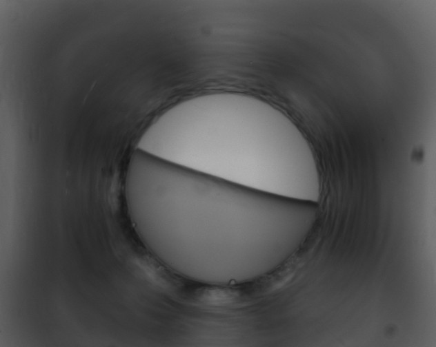 X0000101970223200807180734