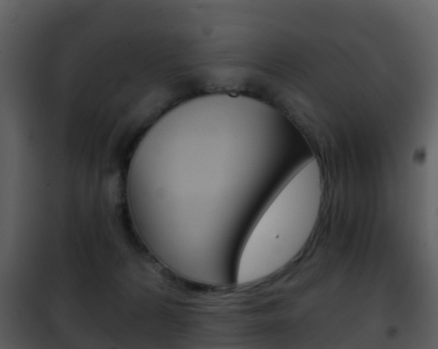 X0000101970224200807180734