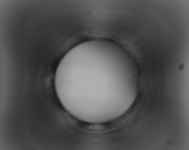 X0000101970225200807180734