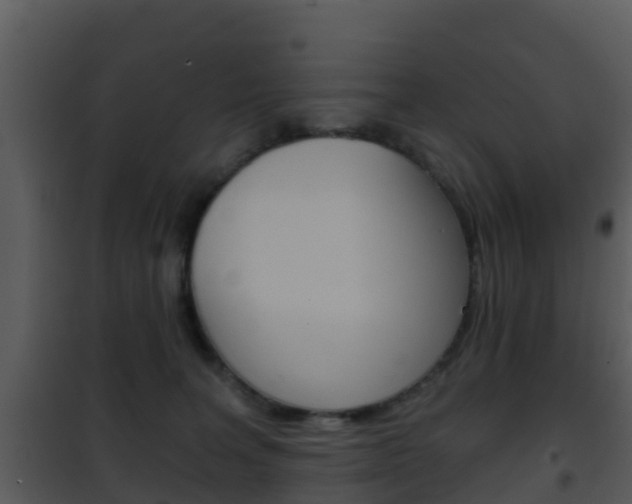 X0000101970227200807180733