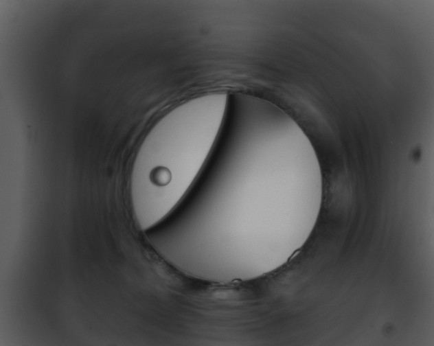 X0000101970228200807180733