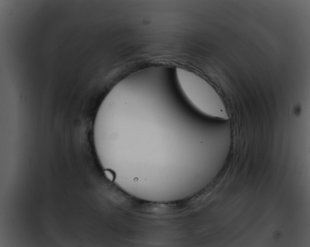 X0000101970229200807180733