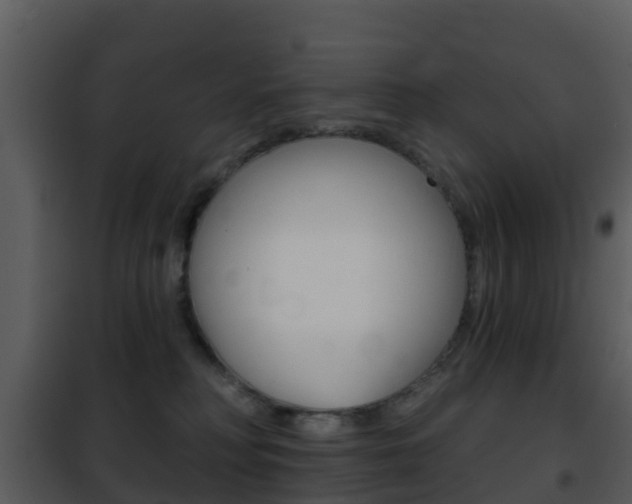 X0000101970230200807180733
