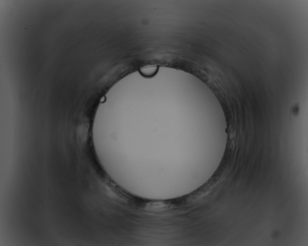 X0000101970231200807180733