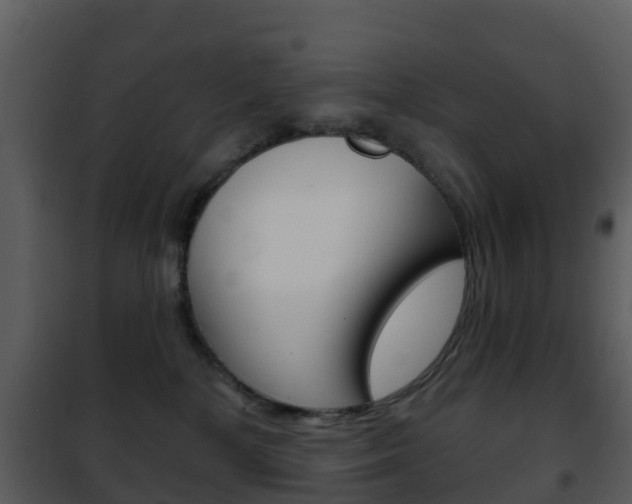 X0000101970232200807180733