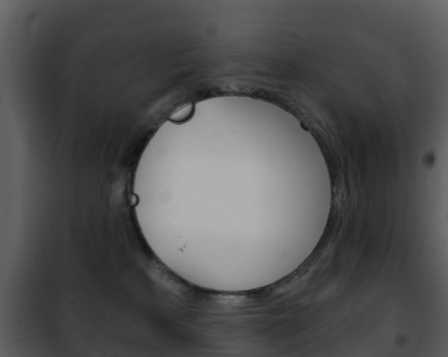 X0000101970233200807180733