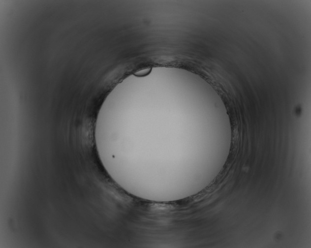 X0000101970234200807180733