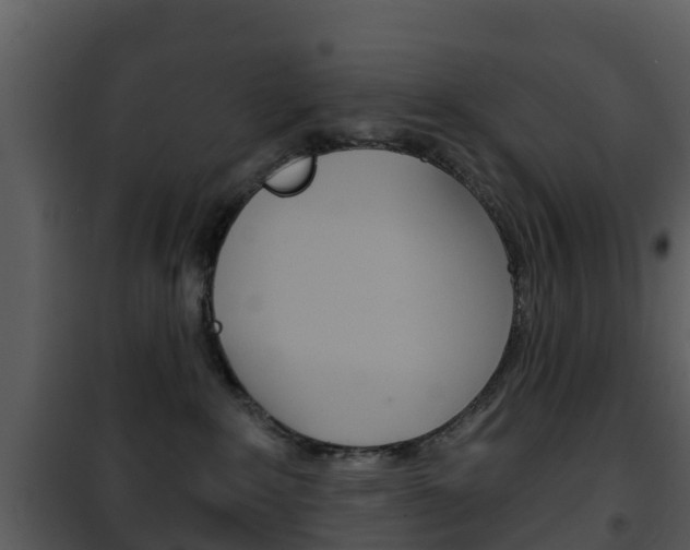 X0000101970235200807180733