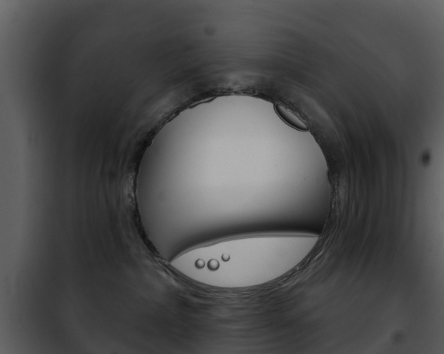X0000101970236200807180733