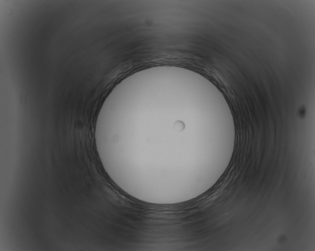 X0000101970237200807180733