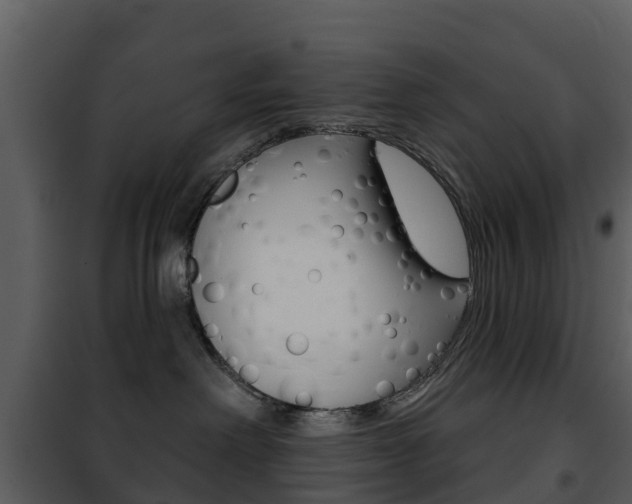 X0000101970238200807180733