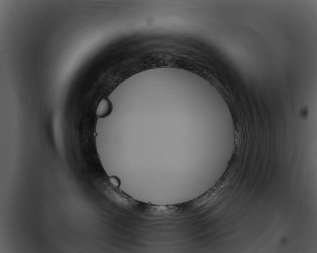 X0000101970239200807180733