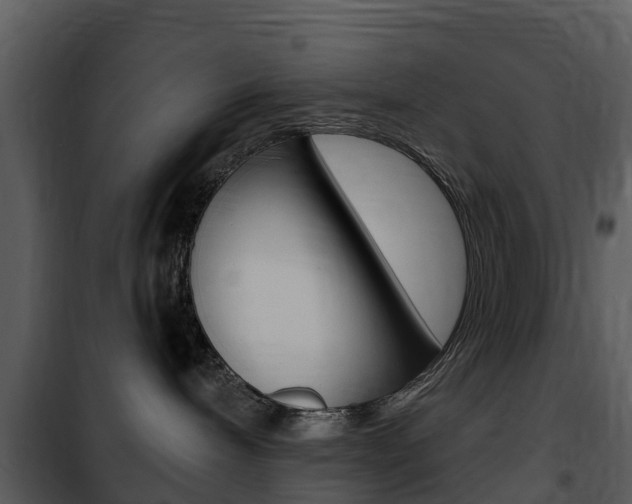 X0000101970240200807180733