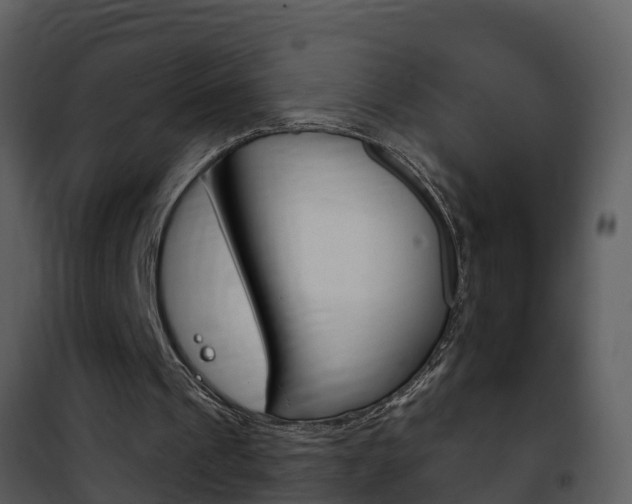 X0000101970241200807180733
