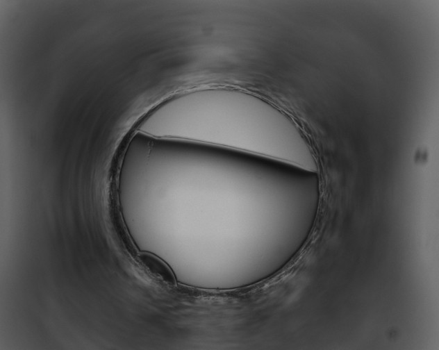 X0000101970242200807180733