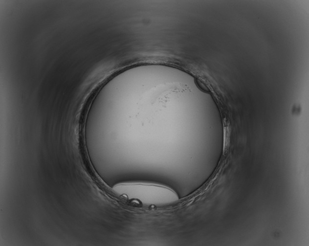 X0000101970243200807180733