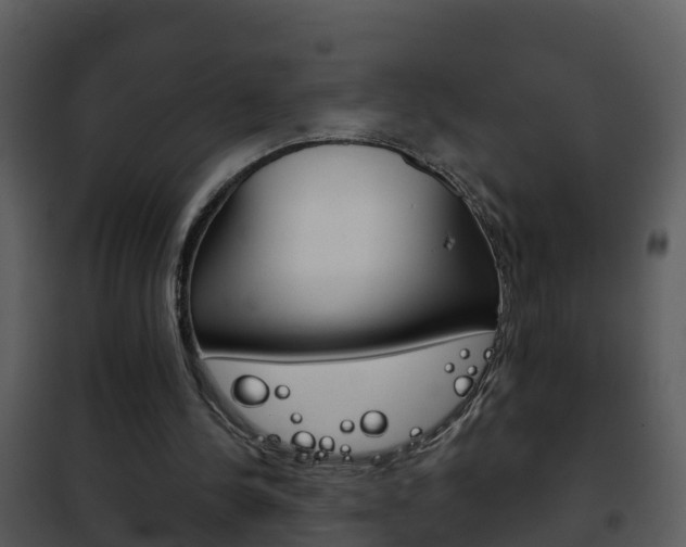 X0000101970244200807180733