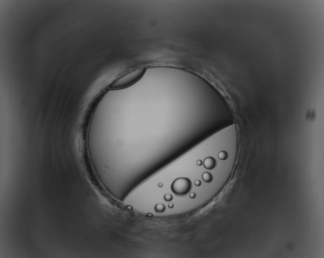 X0000101970245200807180733