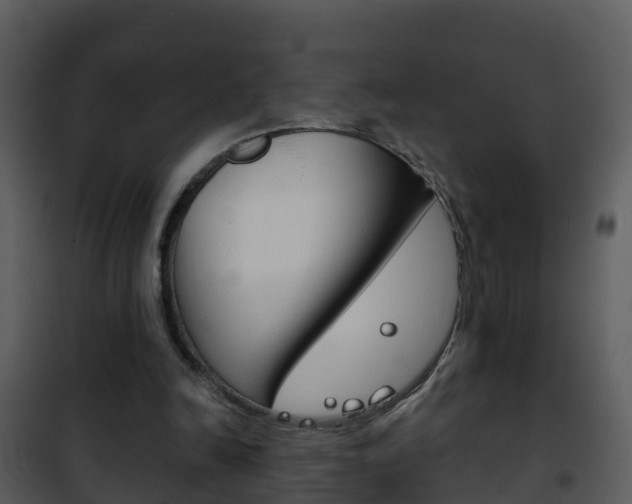 X0000101970246200807180733