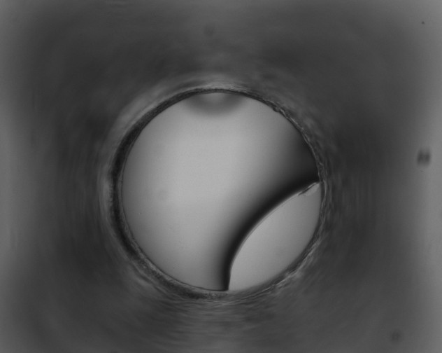 X0000101970247200807180733
