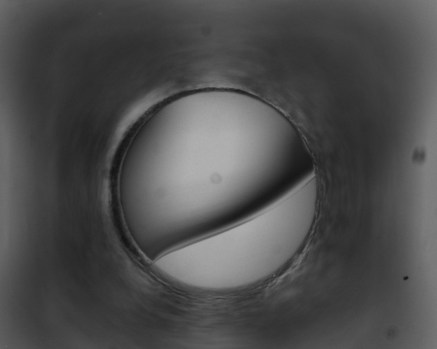 X0000101970248200807180733