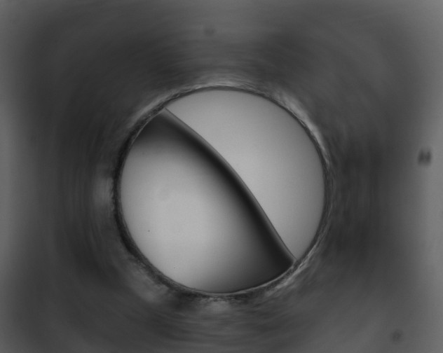 X0000101970249200807180733
