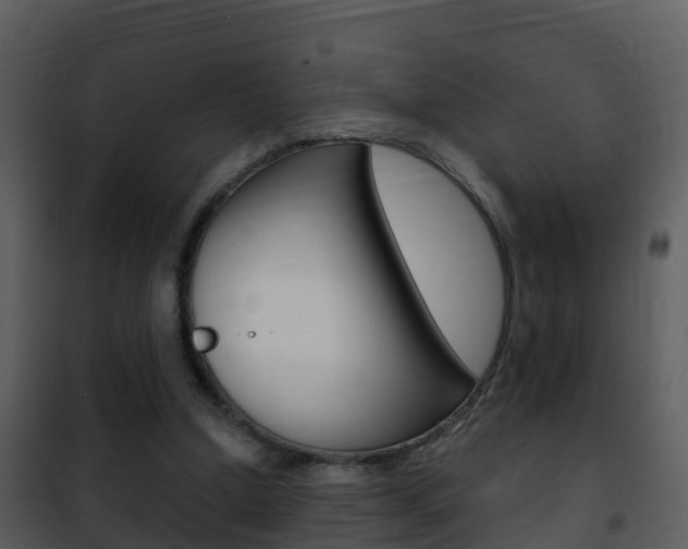 X0000101970250200807180733