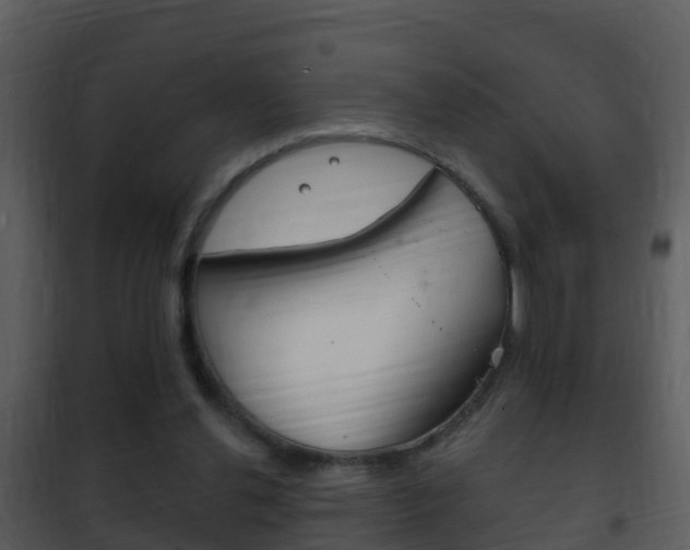 X0000101970252200807180733