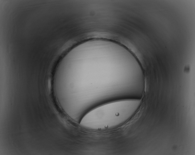X0000101970253200807180733