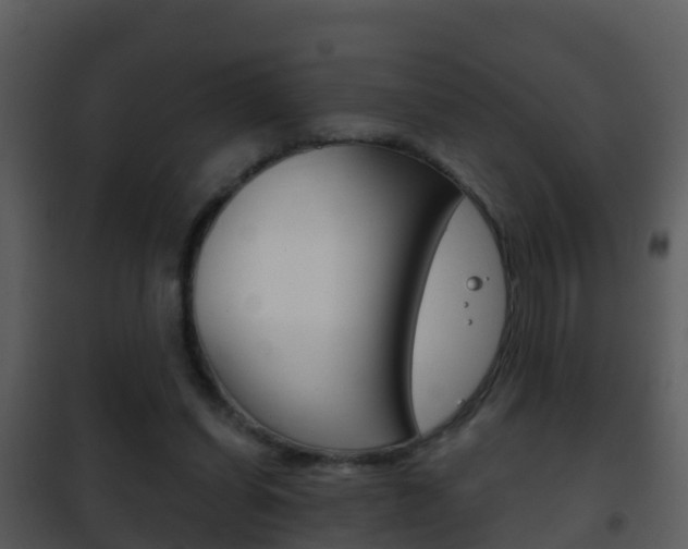 X0000101970254200807180733