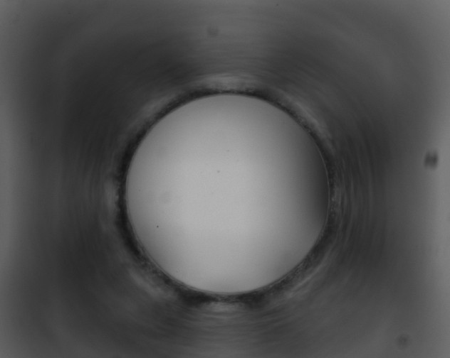 X0000101970255200807180733