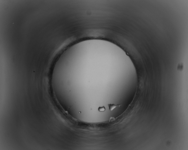 X0000101970256200807180733