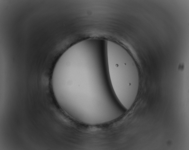 X0000101970257200807180733