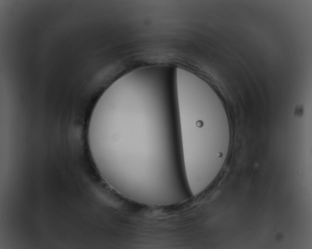 X0000101970258200807180733