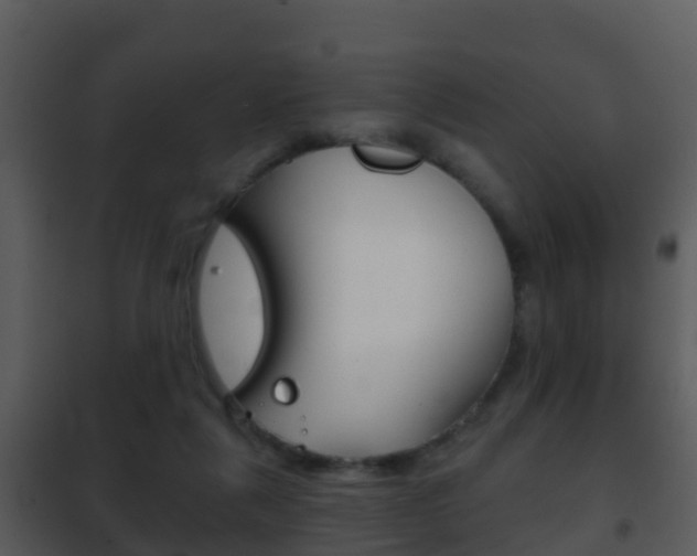 X0000101970259200807180733