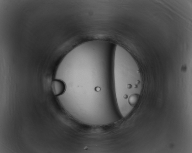 X0000101970262200807180733